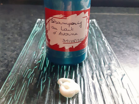 Mon  shampoing au lait d'avoine pour tous types de cheveux.