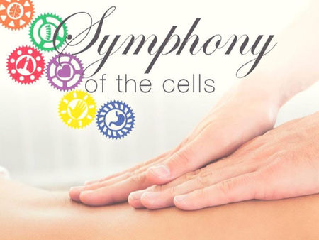  La symphonie des cellules.